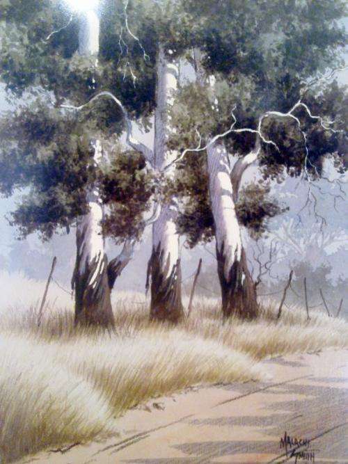 Malachi Smith - Bluegum trees - With provenance from the artist!!